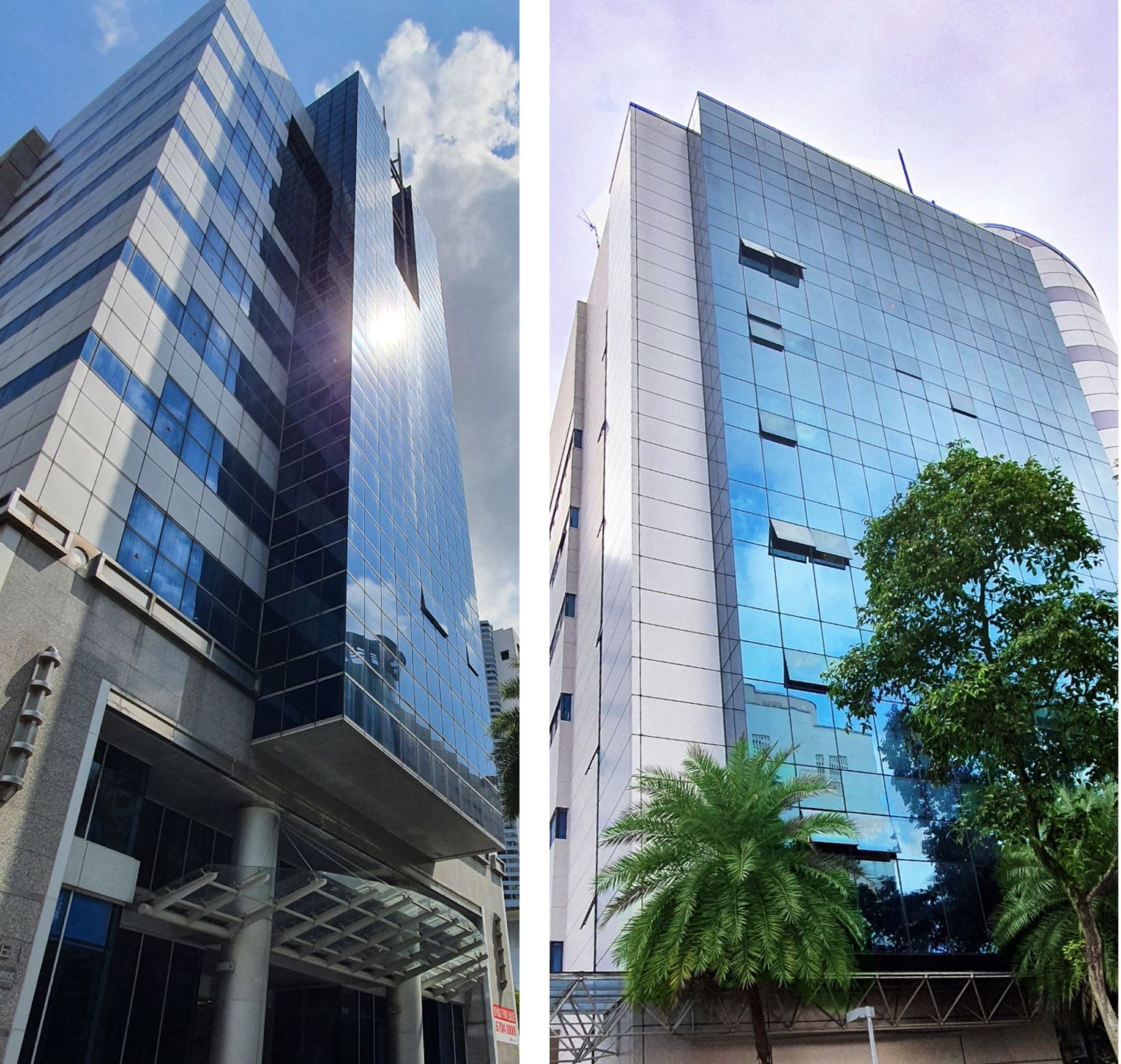 31 & 12 TANNERY LANE